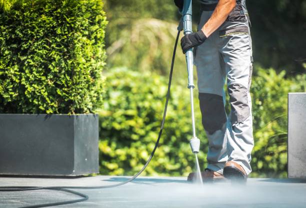 Best House Exterior Washing  in Fowler, IN