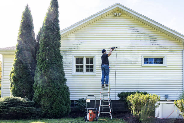 Best Spring Cleaning  in Fowler, IN